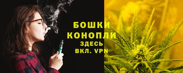 спайс Гусев