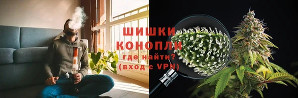 спайс Гусев