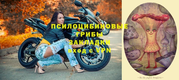 спайс Гусев