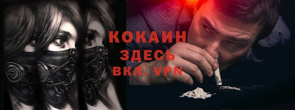 спайс Гусев