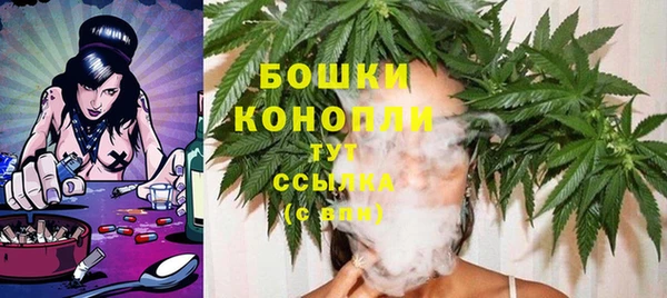 спайс Гусев