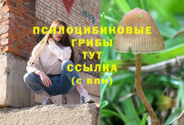 mix Гусь-Хрустальный