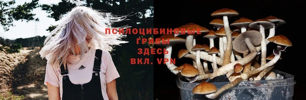 mix Гусь-Хрустальный