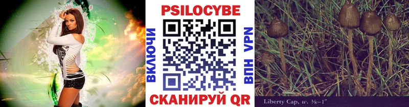 Галлюциногенные грибы Psilocybe  дарк нет какой сайт  Заволжье  цена наркотик 