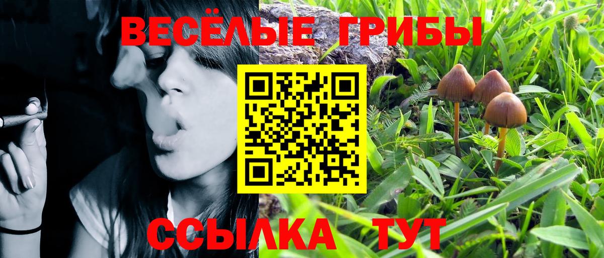 Галлюциногенные грибы Cubensis  Вход с VPN  Галлюциногенные грибы ЛСД  Заволжье 