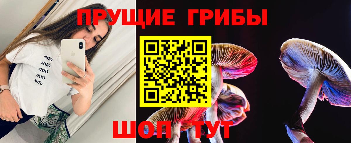 Псилоцибиновые грибы Psilocybe Заволжье