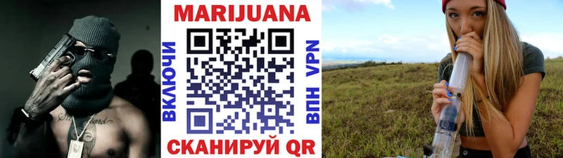 дарнет шоп  Заволжье  МАРИХУАНА сатива 
